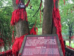 -乌镇西栅景区-月老庙