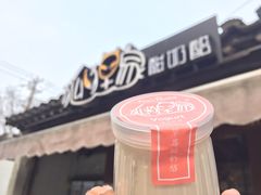 -狐狸家·酸奶酪专门店(平江路店)