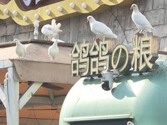 -华谊兄弟（长沙）电影小镇