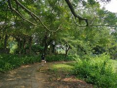 -南沙蒲洲花园