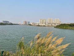 -立新湖公园