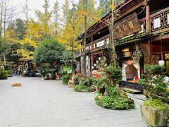 -青城甲(青城山店)