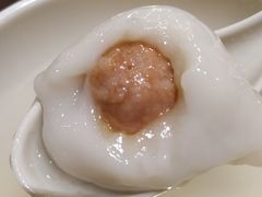 鲜肉汤圆-东泰祥生煎馆(陕西南路店)