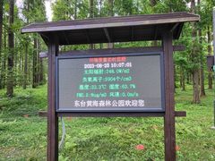 -黄海国家森林公园