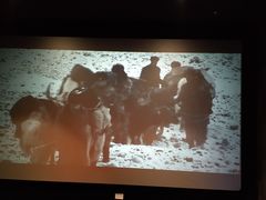 -喜满客影城(汉神广场店)