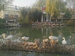 -天毓山庄·餐厅