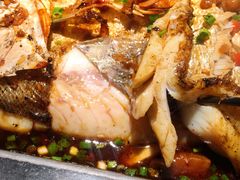 海鲈鱼-炉鱼(萧山万象汇店)