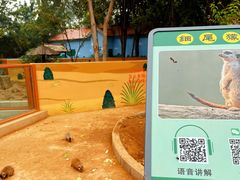 -石家庄市动物园