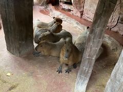 -长鹿旅游休博园