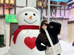 -世界之窗阿尔卑斯冰雪世界