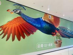 -首开·龙湖成都西宸天街