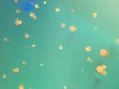 -福州罗源湾海洋世界旅游区