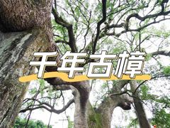 -新安江山水画廊风景区