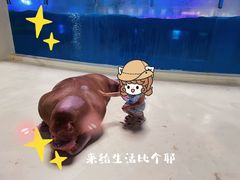 -泉城欧乐堡海洋极地世界