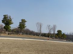 -盘龙城国家考古遗址公园