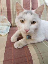 -梵梦影像馆(绿博园店)