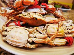-禾斗海鲜自助(市南银座店)