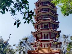 -深圳仙湖植物园