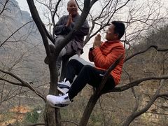 -神农山景区