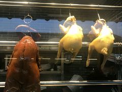 -顺德了能馆(虎门店)