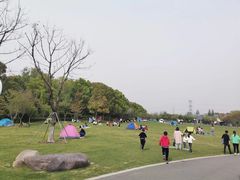 -昆山城市生态森林公园