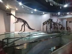 -烟台自然博物馆