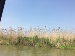 -长兴太湖图影湿地文化园