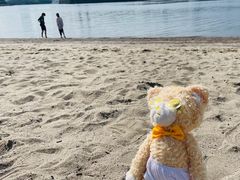 -台场海滨公园船码头