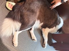 -Onirii Coffee(长乐路店)