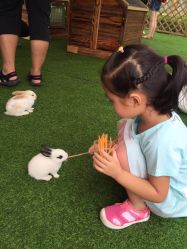 -萌宠亲子动物乐园(槐房万达店)