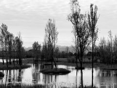 -野鸭湖国家湿地公园