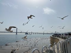 -星海广场