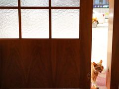 -PUZZLE COFFEE 拼图咖啡