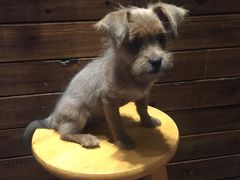 -阿木舂记·特色小吃(平江路店)