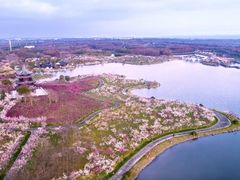 -上海海湾国家森林公园