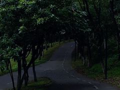 -燕晗山郊野公园
