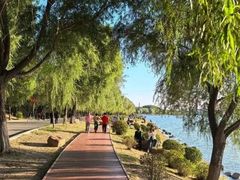-丁香湖公园