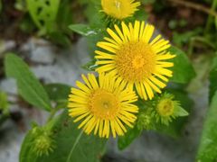 -东坝千亩湖公园