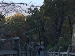 -终南山国家森林公园