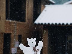 -杨家堂村