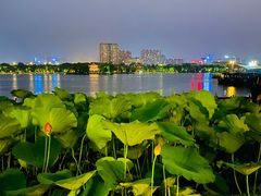 -济南大明湖景区