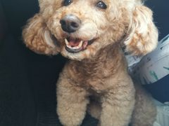 -艾溪湖湿地公园