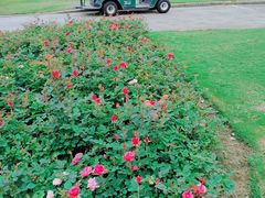 -东莞海逸高尔夫球会