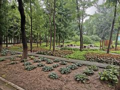-石家庄市植物园