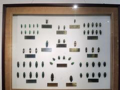 -上海昆虫博物馆