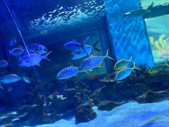 -常州海昌海洋探索馆