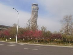 -青岛胶东国际机场