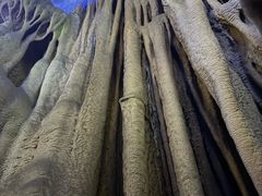 -灵栖洞天