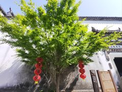 -朵云书院·广富林店