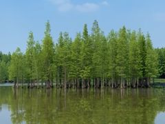 -白鹭湾湿地公园